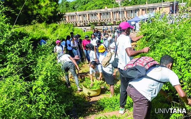 Image à la une de Mouvement « Good Deeds Day » – Une grande mobilisation à l’université d’Antananarivo  