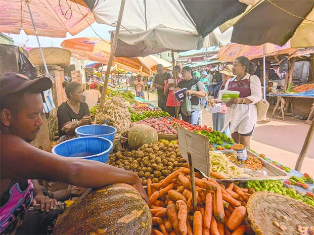 Image à la une de 5e Sommet de la COI – « Sécurité et souveraineté alimentaire », au centre du débat