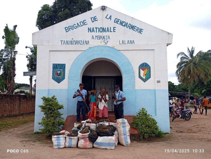 Image à la une de Ambanja : Cannabis – Plus de 350 kilos saisis par la gendarmerie