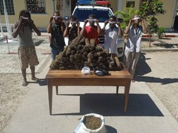 Image à la une de LUTTE CONTRE LES STUPÉFIANTS – Cent kilos  de drogue saisis à Mahajanga