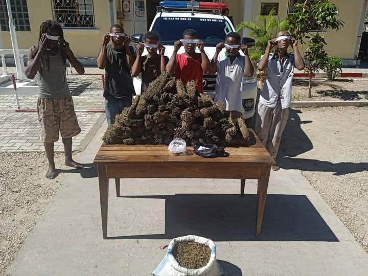 Image à la une de LUTTE CONTRE LES STUPÉFIANTS – Cent kilos  de drogue saisis à Mahajanga