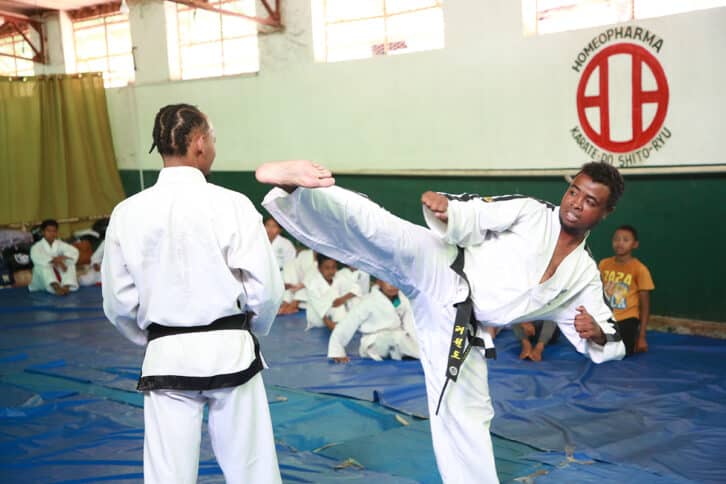 Image à la une de TAEKWONDO ITF – STAGE INTERNATIONAL  –  Au moins cinq pays représentés