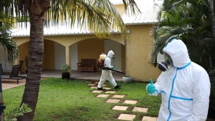 Image à la une de Chikungunya: le plan blanc déclenché à La Réunion, lancement de la vaccination lundi