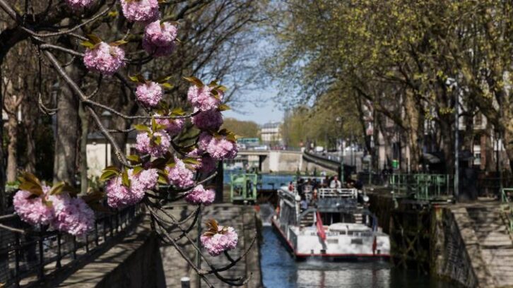 Image à la une de Paris vote son troisième plan biodiversité en misant sur les haies
