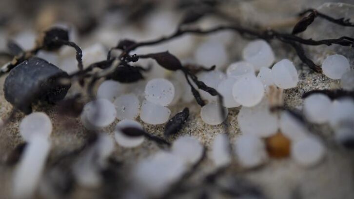 Image à la une de Pollution aux microplastiques: un compromis pour durcir la loi en Europe