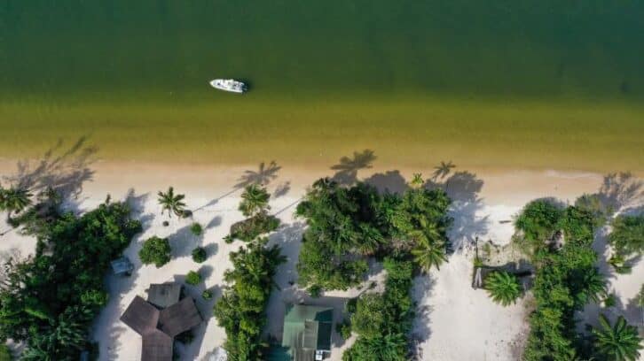 Image à la une de Destination Gabon: nature préservée, tourisme en friche