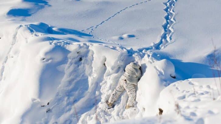 Image à la une de Dans le froid intense de l’Arctique, le Canada prépare sa défense