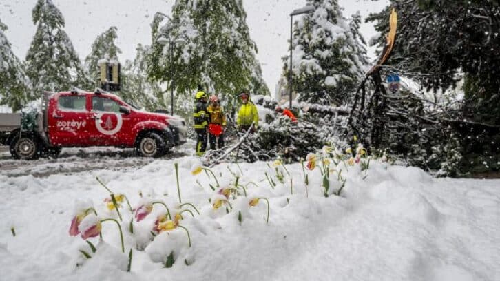 Image à la une de Sévères intempéries dans les Alpes en Suisse, France et Italie