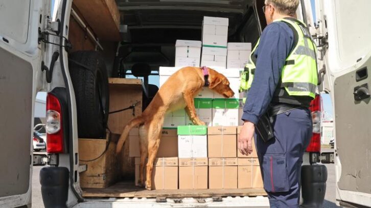 Image à la une de Douanes: face au narcotrafic, le port de Dunkerque en “riposte active”