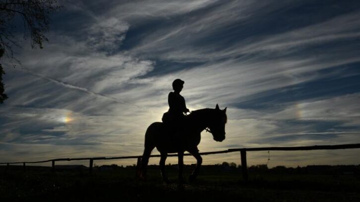 Image à la une de Le cheval, partenaire thérapeutique de victimes de violences sexuelles