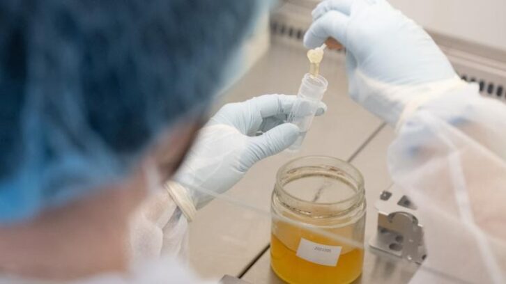 Image à la une de L’ADN, espoir des apiculteurs européens pour détecter les fraudeurs