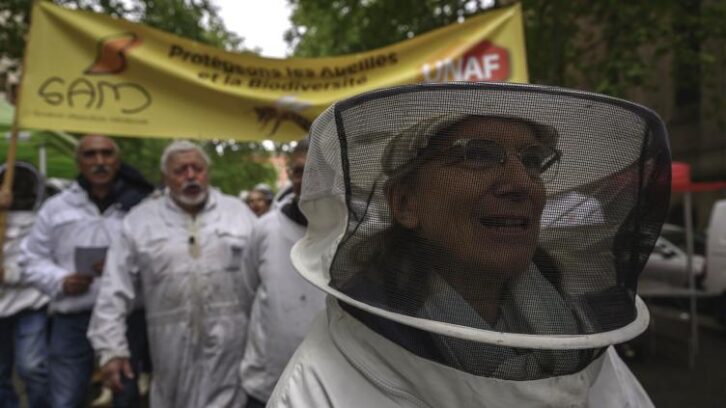 Image à la une de Des apiculteurs manifestent contre les pesticides à Toulouse et Bordeaux