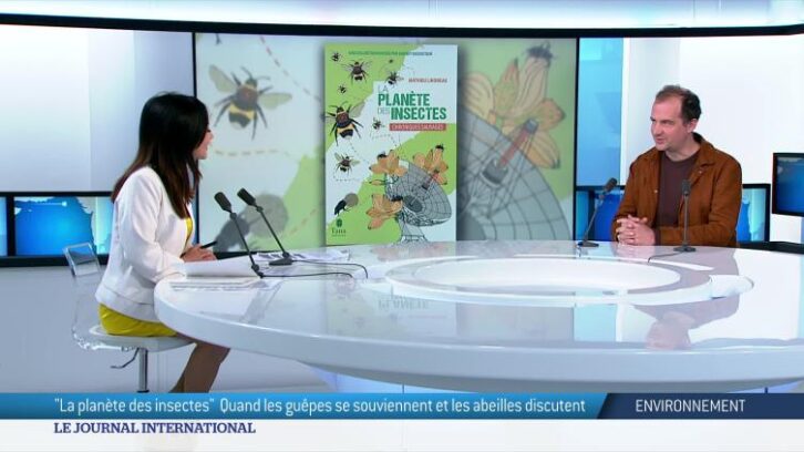 Image à la une de Environnement : “la planète des insectes”