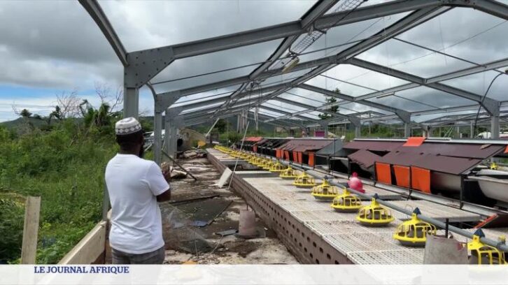 Image à la une de Cyclone Chido à Mayotte : comme se reconstruire après ?