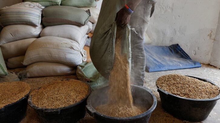 Image à la une de Pourquoi le riz indien fait un retour en force en Afrique de l’Ouest