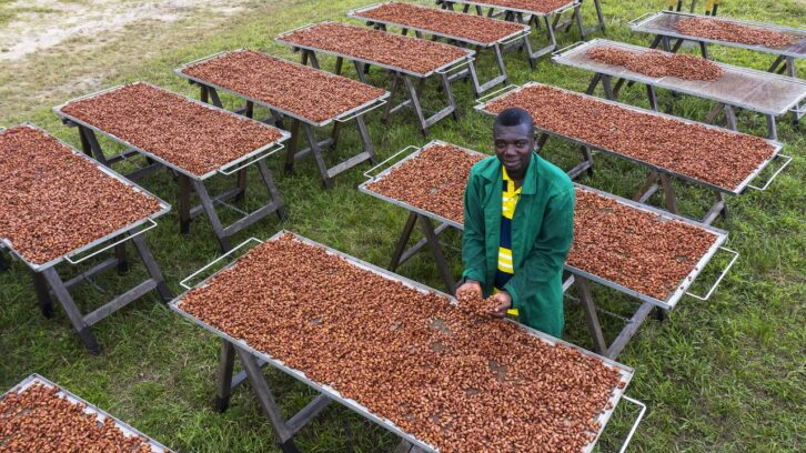 Image à la une de Cacao, textile, vanille : les filières africaines les plus exposées à la guerre commerciale lancée par Donald Trump