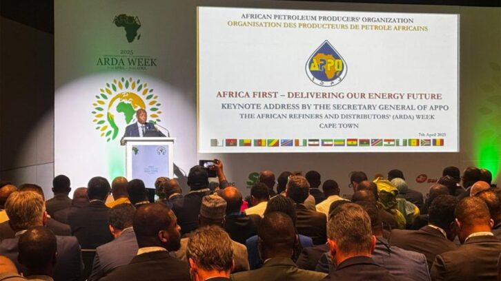Image à la une de La Banque africaine de l’énergie verra-t-elle vraiment le jour ?