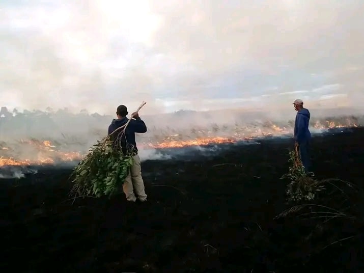 Image à la une de ENVIRONNEMENT – Des points de feu signalés dans des aires protégées