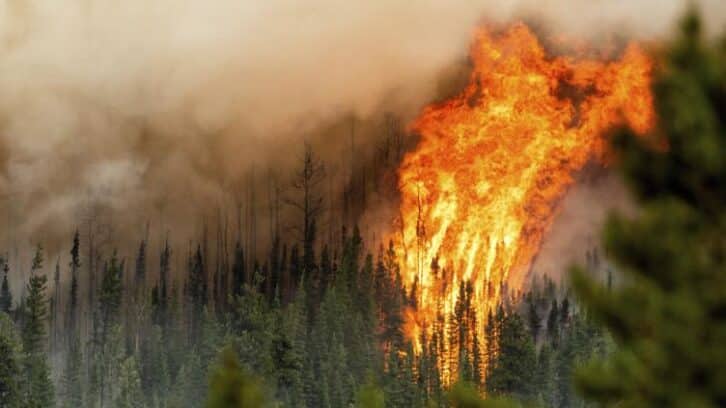 Image à la une de Canada : les feux de forêts évoluent, une deuxième province en état d’urgence