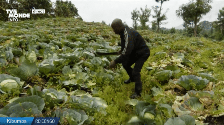 Image à la une de RDC : le difficile retour des agriculteurs sur leurs terres