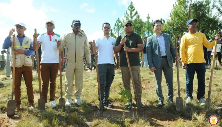 Image à la une de ENVIRONNEMENT – Madagascar instaure une Journée nationale pour l’entretien et le suivi des arbres reboisés