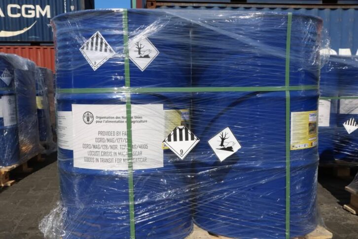 Image à la une de CATASTROPHE – Les criquets signalés à Tolagnaro ce week-end, 80 000 litres de pesticides arrivés à Toliara