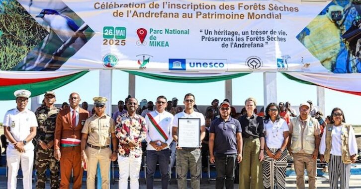Image à la une de Les forêts sèches de l’Andrefana inscritent au Patrimoine mondial de l’UNESCO