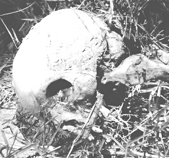 Image à la une de AMBANO ANTSIRABE – Mystère autour d’une tête  de mort