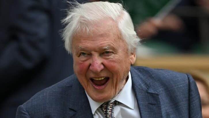 Image à la une de A 99 ans, David Attenborough sort un nouveau film sur les océans