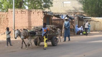Image à la une de Au Niger, les jihadistes perturbent l’approvisionnement en bois de la capitale
