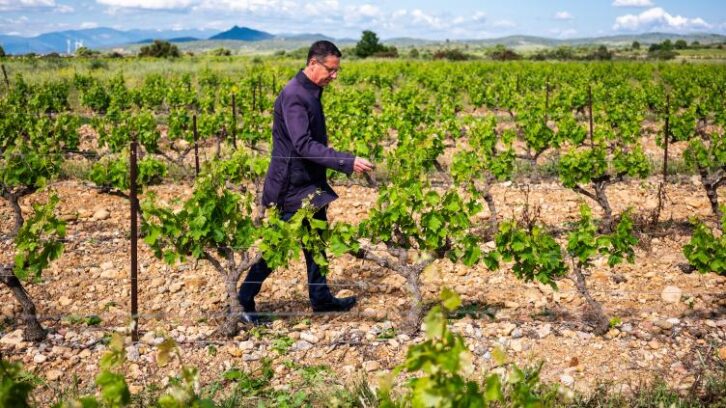 Image à la une de Quand le RN creuse son sillon dans les campagnes, les agriculteurs peuvent se laisser séduire