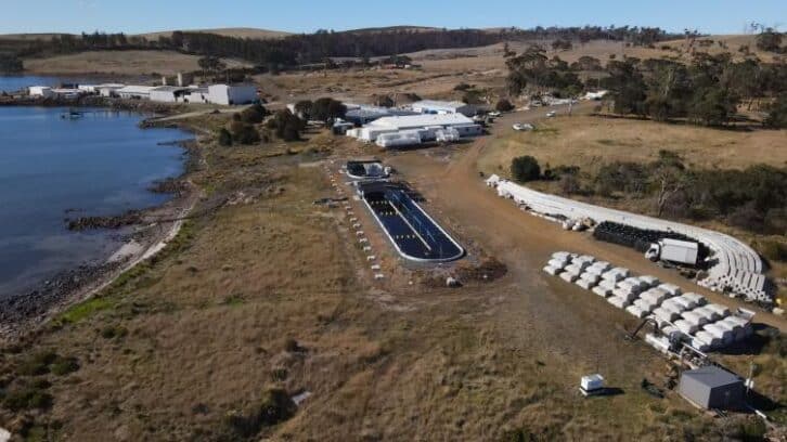 Image à la une de Climat: limiter les rots du bétail grâce à une algue, le pari d’une ferme de Tasmanie