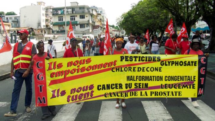 Image à la une de Chlordécone aux Antilles: pourvoi de l’Etat contre sa condamnation