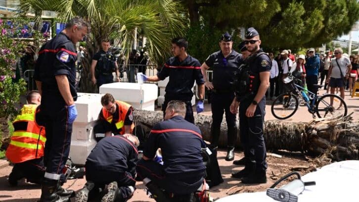 Image à la une de Cannes: un homme “gravement blessé” sur la Croisette par la chute d’un palmier