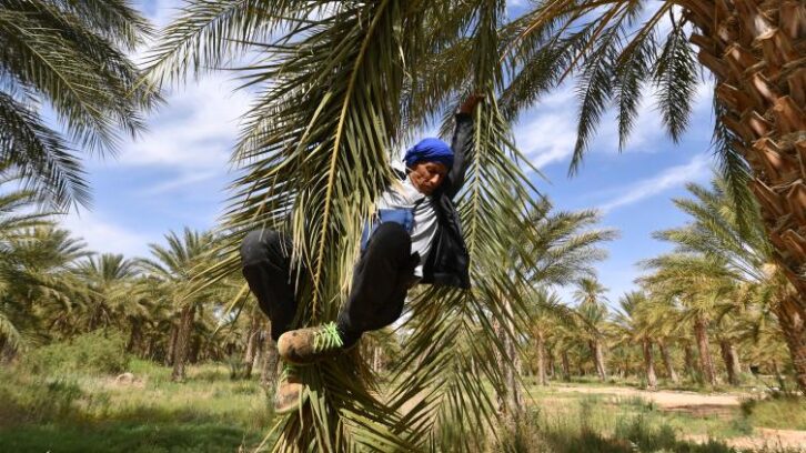 Image à la une de En Tunisie, “l’oasis de la révolution” veut garder son modèle inédit d’autogestion