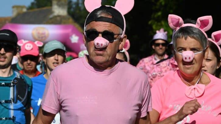 Image à la une de En Bretagne, une course pour valoriser le cochon, sans faire taire les polémiques