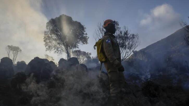 Image à la une de La destruction des forêts tropicales à un niveau record, sous l’effet des incendies