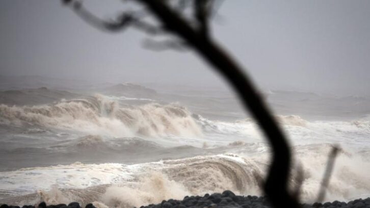 Image à la une de À La Réunion, les coraux lourdement endommagés par le cyclone Garance