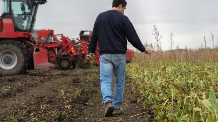 Image à la une de Pesticides: la bataille tactique s’ouvre à l’Assemblée sur la loi Duplomb