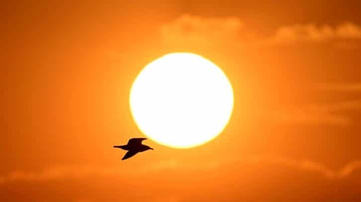 Image à la une de Météo-France: un été “plus chaud que la normale” est le scénario le “plus probable”