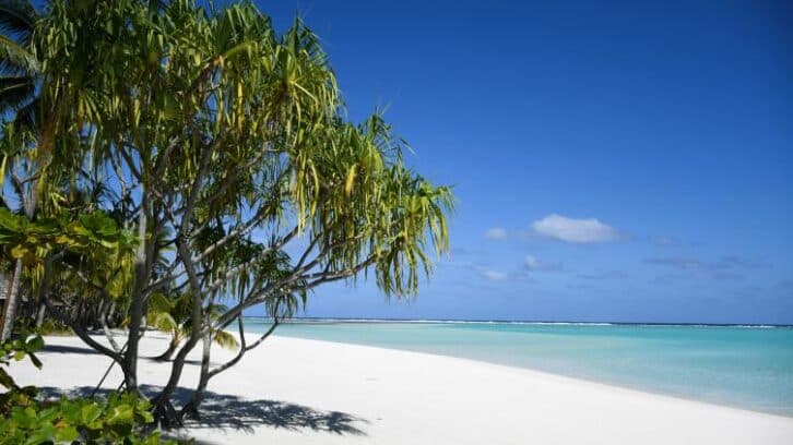 Image à la une de Seul sur un atoll polynésien pendant 240 jours pour repenser notre lien au vivant