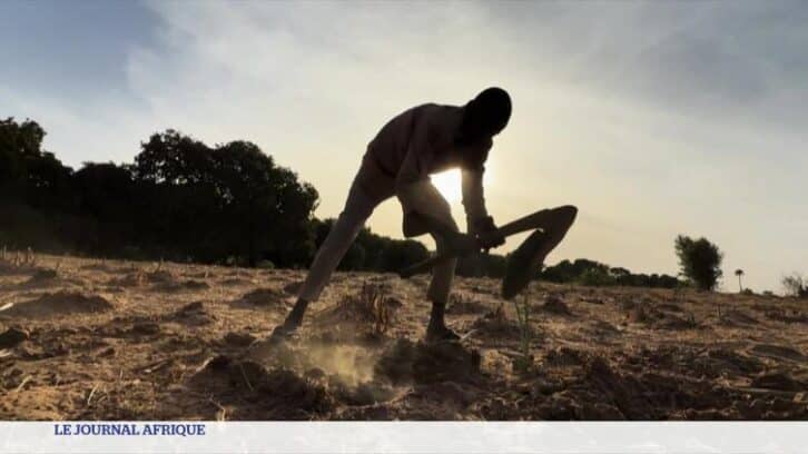 Image à la une de Avec la sécheresse au Nigeria, le temps de l’abondance est révolu