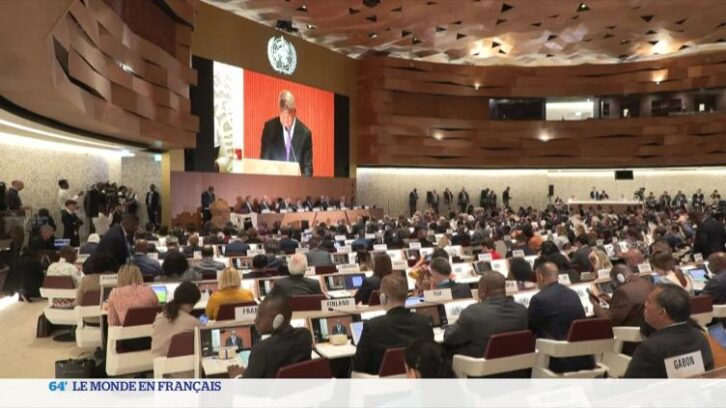 Image à la une de Bande de Gaza : L’OMS appelle à la “pitié” pour la Palestine