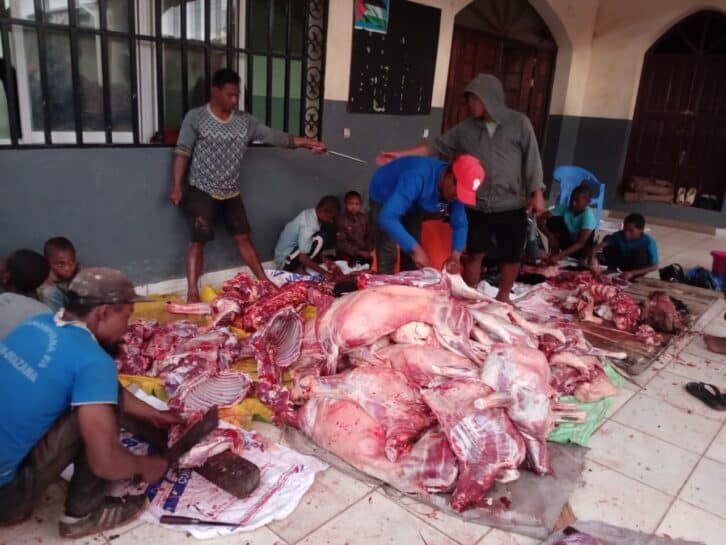 Image à la une de FÊTE MUSULMANE –  Plusieurs bêtes offertes en sacrifice