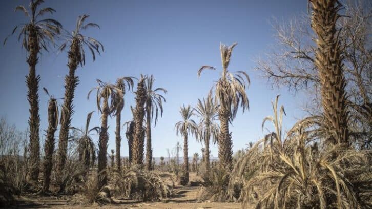 Image à la une de Maroc : l’année 2024 est la plus chaude jamais enregistée