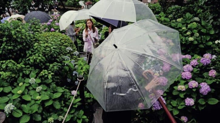 Image à la une de Une fin précoce pour la saison des pluies dans l’ouest du Japon