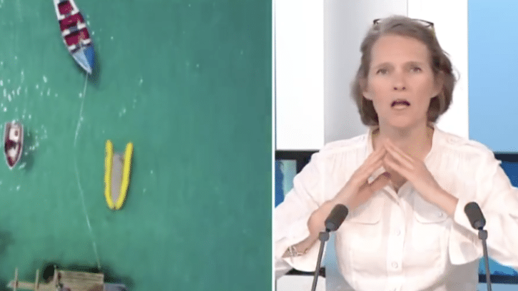 Image à la une de Conférence de l’ONU sur l’Océan : “On est sur une trajectoire d’auto-destruction !”