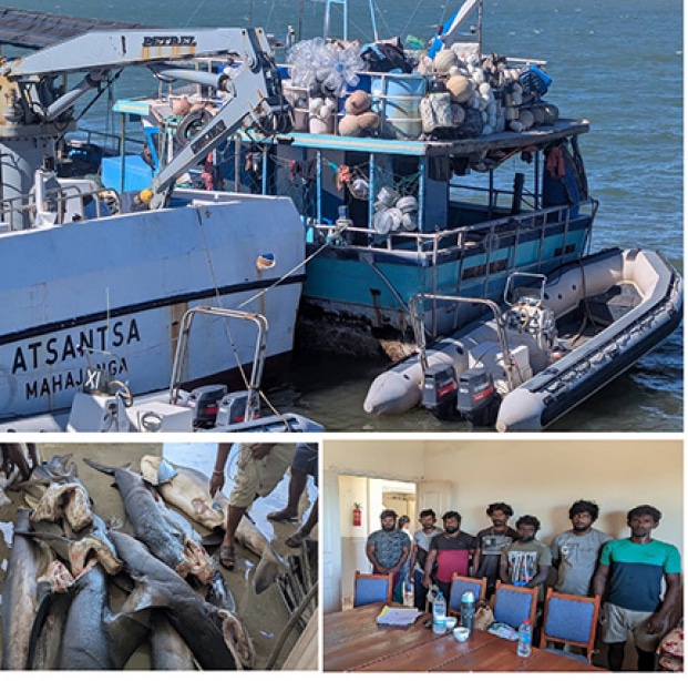 Image à la une de Pêche illégale – Un bateau sri-lankais intercepté avec 12 tonnes de requins frais