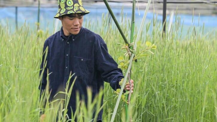 Image à la une de “Repartir de zéro”: à Fukushima, des kiwis comme symbole de renouveau