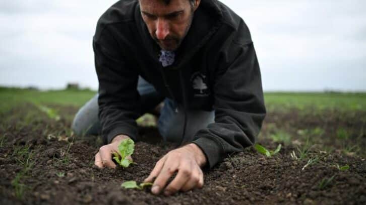 Image à la une de Chaleur, sécheresse: le printemps 2025 bat des records au Royaume-Uni